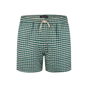 Brighton Beach Swim Shorts